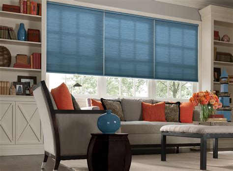 blue cellular window shades.